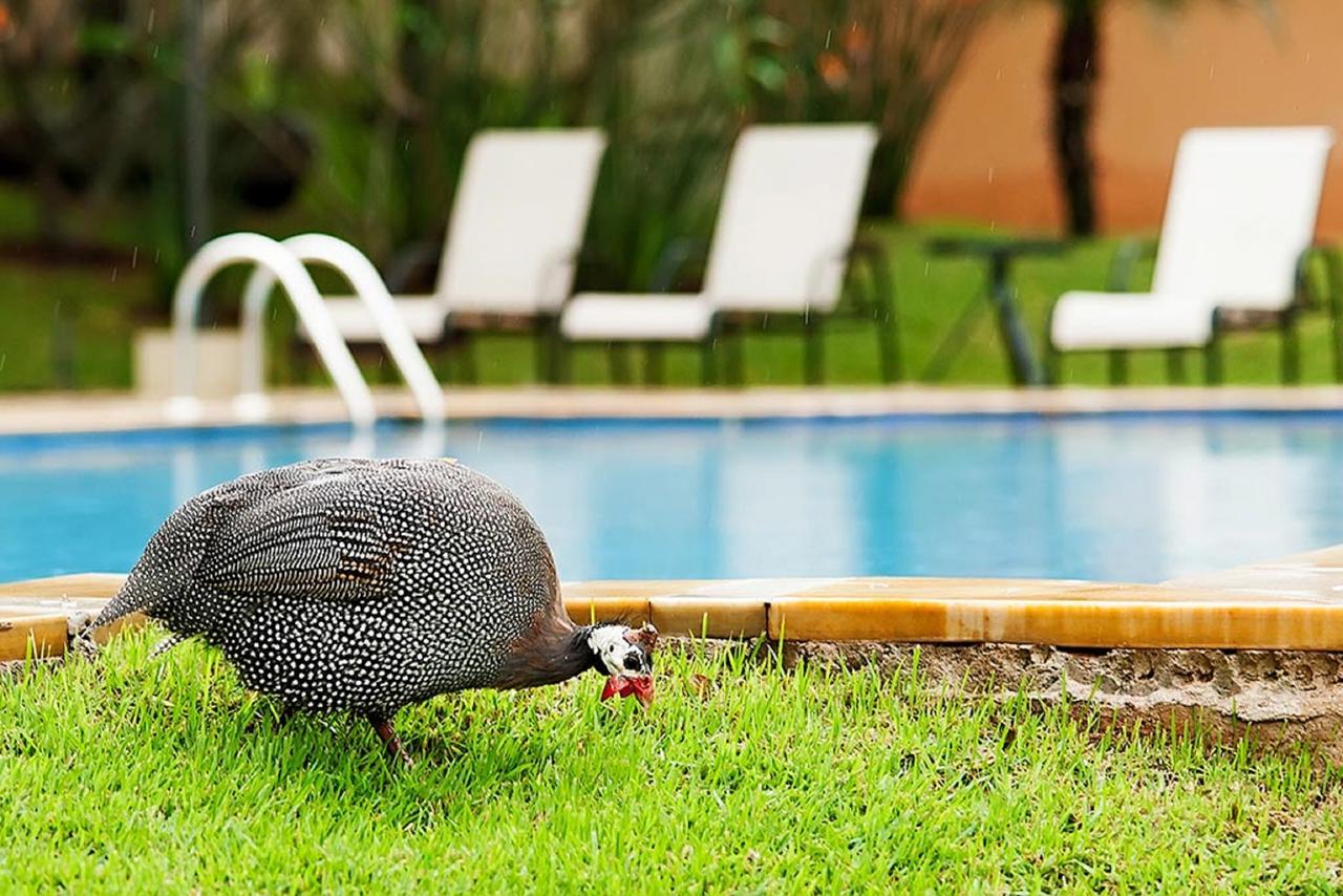 Vila Real Hotel จาอู ภายนอก รูปภาพ